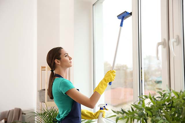 Benefits of Professional Window Cleaning Services