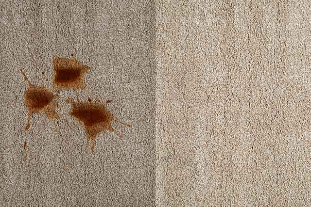 Best Carpet Cleaning Methods for Different Types of Carpets.