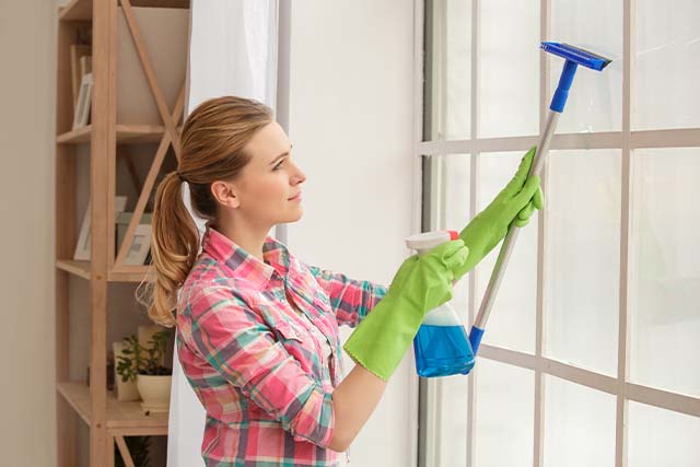 DIY Window Cleaning